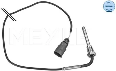 Image de Capteur, température des gaz d'échappement