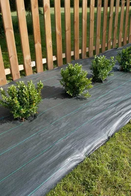 Produktbild von Mulchgewebe "Weedsol" 1,25 x 25 m - Grün