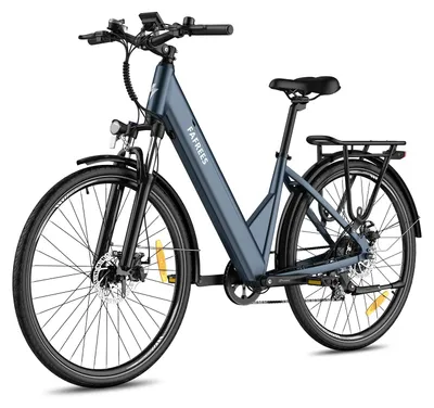 Immagine prodotto di FAFREES F28 PRO E-bike pieghevole - motore 250W batteria 36V15Ah 55KM - Blu Opaco