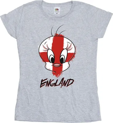 Image de Looney Tunes - T-shirt pour femmes BI28588 (S) (gris)