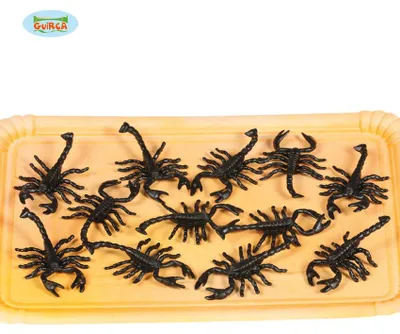 Produktbild von Schwarze Deko-Skorpione für Halloween, 12 Stück