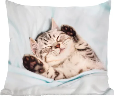 Produktbild von MuchoWow® Zierkissen Sofakissen Wohnzimmer Dekokissen 40x40 cm Kätzchen - Lustig - Bett - Kinder - Jungen - Mädchen - Kinder - Foto Kissen - Schlafzimmer Dekoration