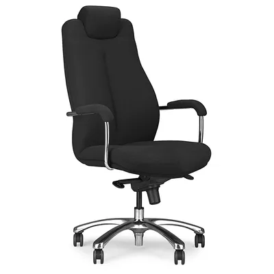 Produktbild von OXM Stühle Schwarz 51 x 119 x 54 cm