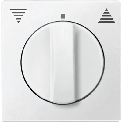 Produktbild von Merten Zentralplatte pws 569819