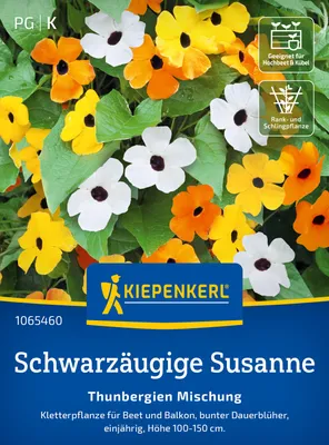 Produktbild von Kiepenkerl Samen Schwarzäugige Susanne Thunbergien 20 Pflanzen