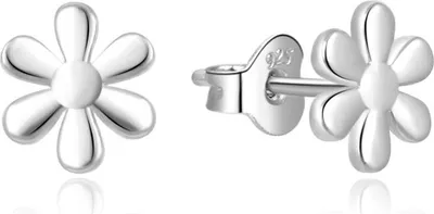 Immagine prodotto di Delicati orecchini in argento Fiorellini E0002424