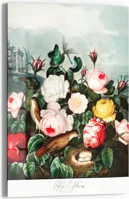 Produktbild von DEQOART Glasbild Echtglas 60x90 cm 'Rosengartenzauber' Wandbild Bild modern Deko