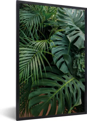Produktbild von MuchoWow® MuchoWow® Gerahmtes Poster Pflanzen - Dschungel - Blätter - Tropisch 60x90 cm - Poster mit zchwarzem Bilderrahmen - Kunst