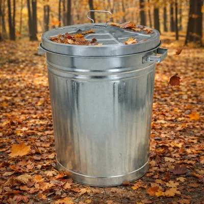 Produktbild von 55L Oskartonne Aschetonne mit Deckel Mülltonne Abfalleimer
