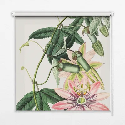 Produktbild von Seitenzug-Rollo Fensterrollo Jalousie - Thermo-Rollo Verdunkelungsrollo - 70x180 cm - Rosa Blume