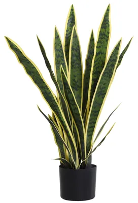 Image de Plante artificielle serpent, 77 cm - Plante artificielle en pot | Couleur : Vert | Dimensions : 15x15x77 cm