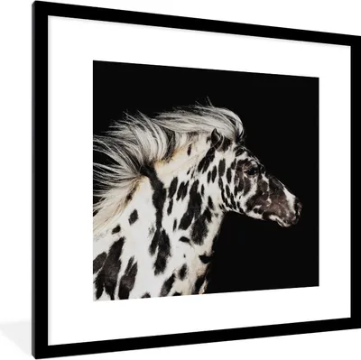 Produktbild von MuchoWow® MuchoWow® Gerahmtes Poster Pferd - Punkte - Tier 40x40 cm - Poster mit zchwarzem Bilderrahmen - Poster - Plakat im Rahmen