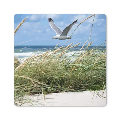 Produktbild von MuchoWow® Mauspad Mousepad Strand - Pflanzen - Vogel 20x20 cm - Mousepads - Maus Mat - Pad - Mausunterlage - Desk Mat - Bureauartikeln