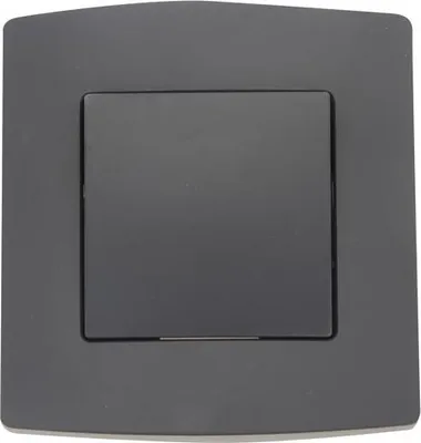 Produktbild von Wechselschalter 1 Modul 10A Schwarz - Profil