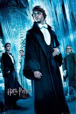 Produktbild von Harry Potter - Harry Ball - Film Kino Movie Poster - 61x91,5 cm