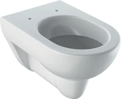 Immagine prodotto di WC sospeso RENOVA con bordo a filo pavimento, bianco