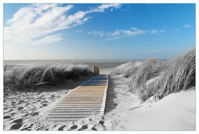 Produktbild von Wallario Küchenrückwand aus Glas, Größe: 90 x 60 cm, Motiv: Auf dem Holzweg zum Strand in schwarz-weiß Optik | Spritzschutz | abwischbar | pflegeleicht | in