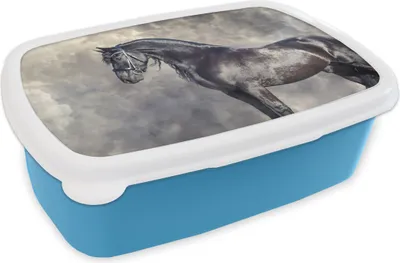 Produktbild von KitchenYeah® Lunchbox Brotzeit Brotdose 17x11 cm Friese - Pferde - Porträt Kinder Brotzeitdose - Lunch - Kunststoff  - Brotbüchse - Sandwichbox - Lunchbox für Kinder