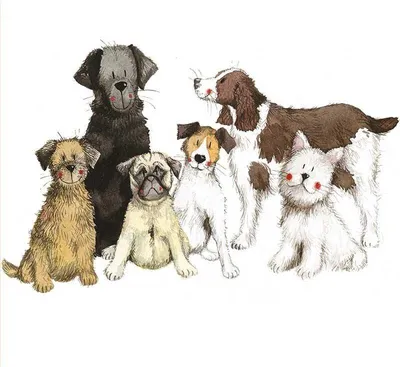 Produktbild von Untersetzer C195 mit 6 Hunden – Alex Clark
