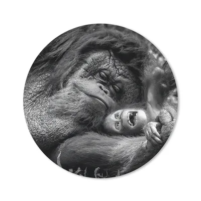 Produktbild von MuchoWow® Mauspad Mousepad Liebender Orang-Utan mit Jungtier in Schwarz und Weiß 20x20 cm - Mousepads - Maus Mat - Pad - Mausunterlage - Schreibtischmatte
