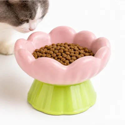 Produktbild von Keramik-Katzennapf in Rosa,flach und breit,gegen Erbrechen und Schnurrhaarstress,rutschfest,geneigt mit süßem Blumen-Design,für Katzenund kleine Hunde
