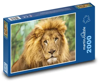Obrázok produktu pre Puzzle 2000 Lev - kráľ savany - martinpuzzle