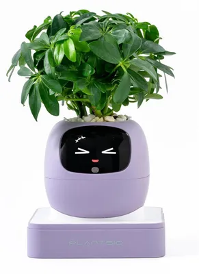 Produktbild von Smart Plant Pot mit KI-Emotionsanzeige Blush Pink