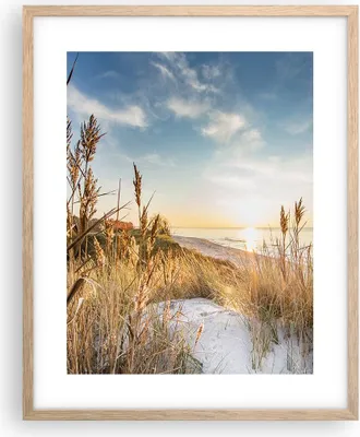 Produktbild von Gerahmtes Poster - Rahmen in heller Eiche - Ähren Küste Sonne - 40x50 cm - Wand Bild - Wanddeko - Wandbilder - Kunstposter - Wandposter - Bilderrahmen - Bilder - Kunstdruck - P2NPA40x50-4653