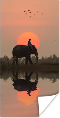 Produktbild von MuchoWow® Poster Ein Elefant in einem Reisfeld in Thailand bei Sonnenuntergang 60x120 cm - Wandschmuck