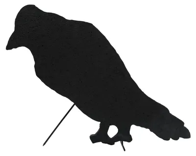 Productafbeelding van EUROPALMS Silhouet van een kraai, 63 cm (83505007)