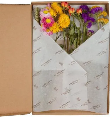 Produktbild von Getrocknete Blumen – Letterbox Blumen – Multi – 5 Sträuße – 30cm – Handgebunden & nachhaltig – Dekoration & Geschenkidee