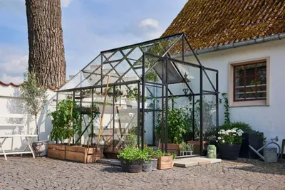 Produktbild von Halls Gewächshaus Qube+