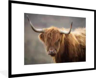 Produktbild von MuchoWow® Gerahmtes Poster Schottischer Highlander - Licht - Porträt 90x60 cm - Poster mit Schwarzem Bilderrahmen Wandposter Rahmen Foto Bilder - Wanddekoration - Fotos