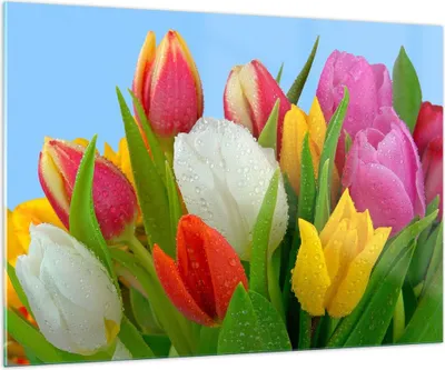 Produktbild von Bilder auf glas - Tulpen Blumenstrauß Blumen Tau - 100x70cm - Glasbilder - Wandbilder - Kunstdruck - zum Aufhängen bereit - Wanddekoration aus Glas - Glas Bilder - Wandbild auf Glas - GAA100x70-2526