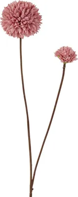 Produktbild von Künstliche Blume Pompon 66cm altrosa