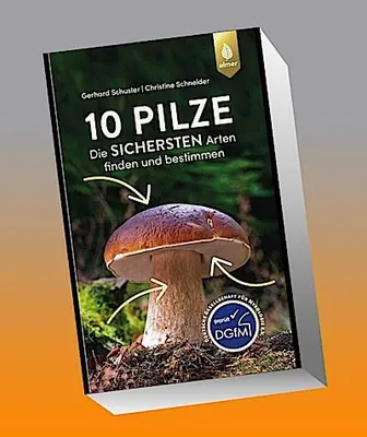 Produktbild von 10 Pilze
