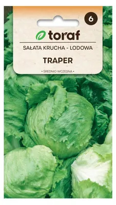 Obrázek produktu pro Ledový salát TRAPER 1 g