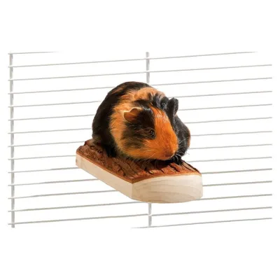 Image de Karlie Jouets Karlie Wonderland, Pour rongeurs,17 X 8 X 4cm