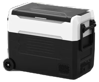 Immagine prodotto di Frigorifero da auto, refrigerazione portatile, doppia alimentazione, 55 L (EU)