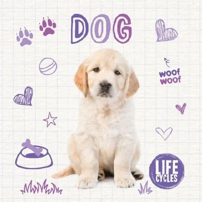 Produktbild von Dog