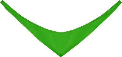 Image de L'Écharpe Pour Peluche - Vert