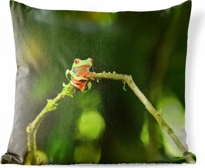 Produktbild von MuchoWow® Outdoor Kissen - Frosch - Äste - Grün - 40x40 cm - Wetterfest - Lounge Kissen - Kopfkissen - Interieur - Polster mit Bild
