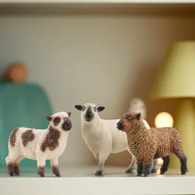 Immagine prodotto di schleich® FARM WORLD 42660 Amici delle pecore