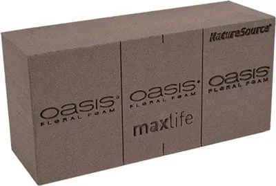 Produktbild von OASIS® NatureSource™ Maxlife Blumensteckschaum Ziegel - 10 Stück