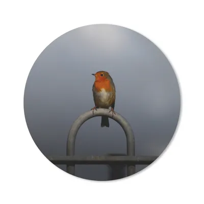 Produktbild von MuchoWow® Mauspad Mousepad Rotkehlchen - Vogel - Zaun 40x40 cm - Mousepads - Maus Mat - Pad - Mausunterlage - Schreibtisch Accessoires