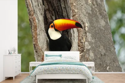 Produktbild von MuchoWow® Fototapete für Wohnzimmer oder Schlafzimmer Wandtapete Vinyl Motivtapete Tukan in einem Baum in Brasilien - 390x260 cm - Papiertapete