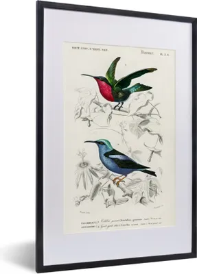 Produktbild von MuchoWow® MuchoWow® Gerahmtes Poster Vogel - Vintage - Zweig 40x60 cm - Poster mit zchwarzem Bilderrahmen - Poster in Rahmen
