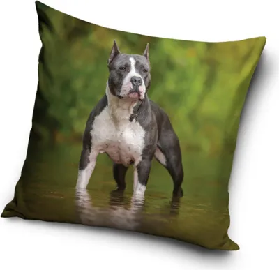 Produktbild von Hund Kissenbezug 40*40 cm