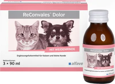 Produktbild von ReConvales Dolor 3 x 90 ml für Hunde und Katzen fördert das Wohlbefinden
