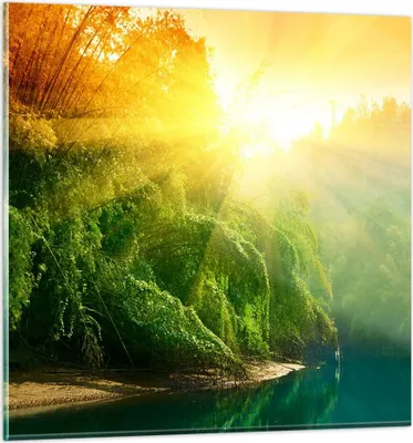 Produktbild von Bilder auf glas - Tropen Bäume Fluss - 70x70cm - Glasbilder - Wandbilder - Kunstdruck - zum Aufhängen bereit - Wanddekoration aus Glas - Glas Bilder - Wandbild auf Glas - Einteilig - GAC70x70-0166